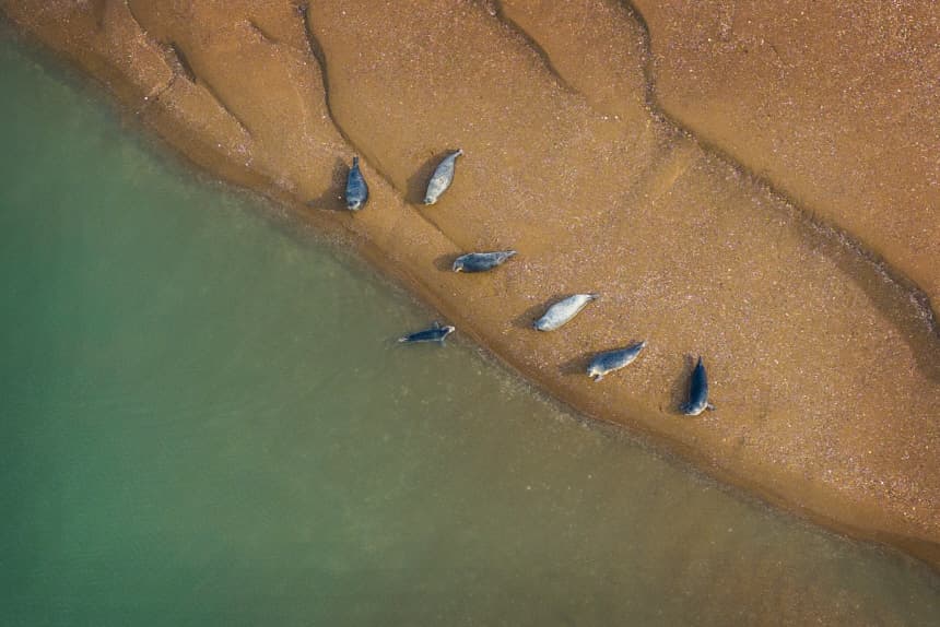 정부, 국가해양생태공원 첫 지정으로 2030년 1000만 관광객 목표